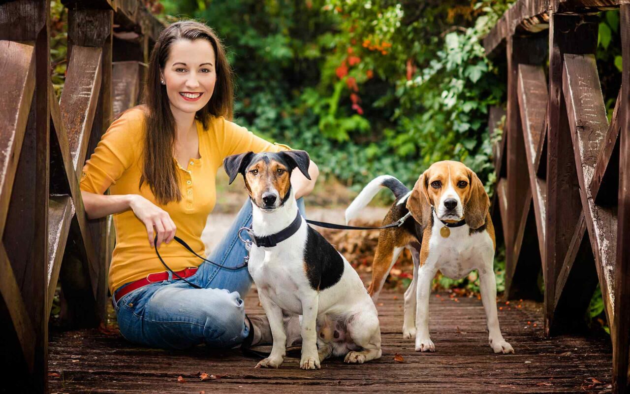 https://fordogs.ro/wp-content/uploads/2018/09/post_02-1280x800.jpg