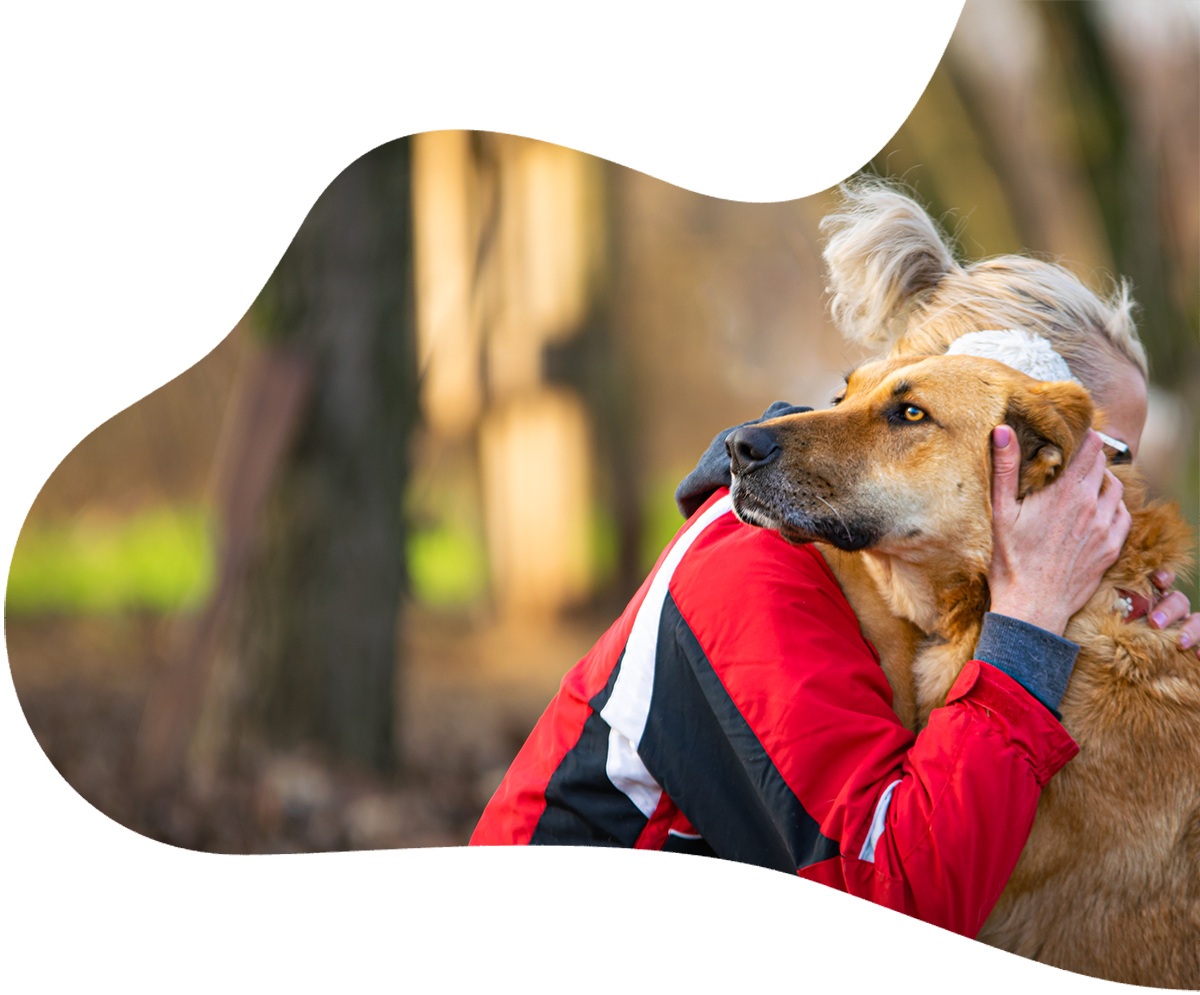 https://fordogs.ro/wp-content/uploads/2023/02/Home-page-f1-1.png