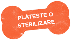https://fordogs.ro/wp-content/uploads/2023/02/Streilizare.png