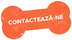https://fordogs.ro/wp-content/uploads/2023/02/text_03.png